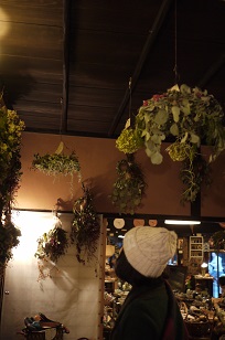 ①「フボーと植物展 白3」開催中!_f0226293_8122898.jpg