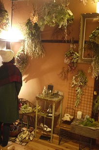 ①「フボーと植物展 白3」開催中!_f0226293_8123637.jpg