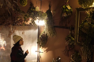 ①「フボーと植物展 白3」開催中!_f0226293_8124432.jpg