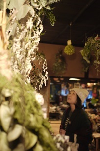 ①「フボーと植物展 白3」開催中!_f0226293_812854.jpg