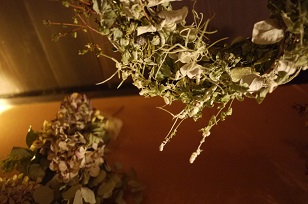 ②追加入荷しました「フボーと植物展 白3」_f0226293_8571750.jpg