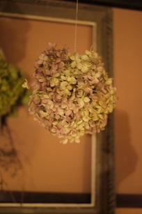 ③続・追加入荷「フボーと植物展 白3」_f0226293_9135730.jpg