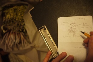 ③続・追加入荷「フボーと植物展 白3」_f0226293_9252959.jpg