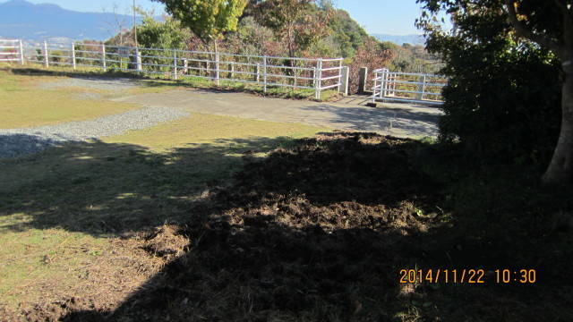 c0133096_20164528.jpg