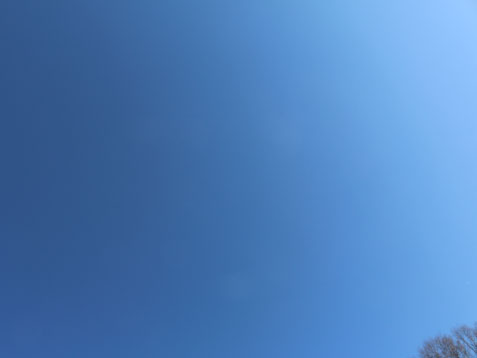 雲ひとつない空♪_c0140599_11511266.jpg