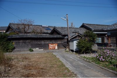 海界の村を歩く 三河湾編 佐久島_d0147406_12253776.jpg