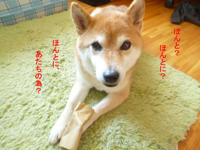 e0131506_22315793.jpg