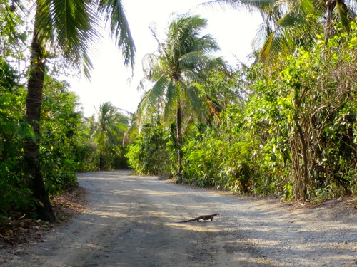 d0298808_1421325.jpg