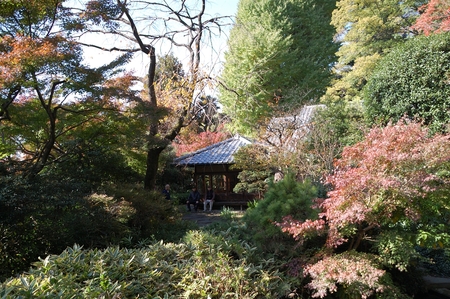 a0017909_198046.jpg