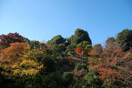 a0017909_199445.jpg