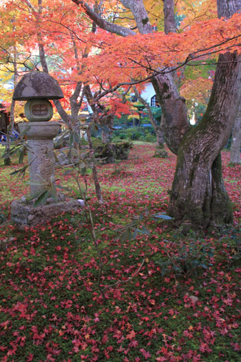 14紅葉めぐり34 圓光寺_e0048413_2213072.jpg