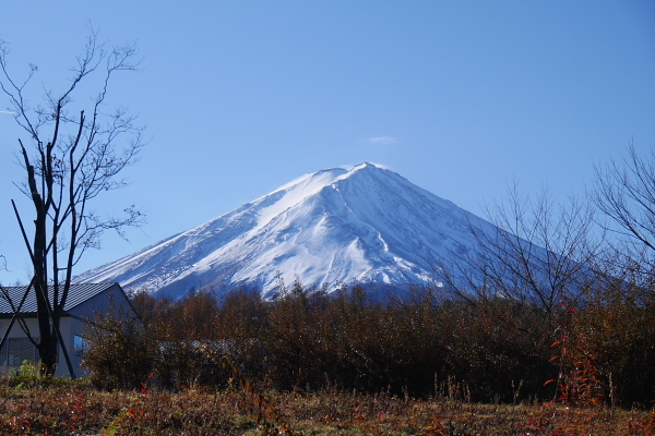 サリコニ　お誕生日旅行2日目_b0183917_19521931.jpg