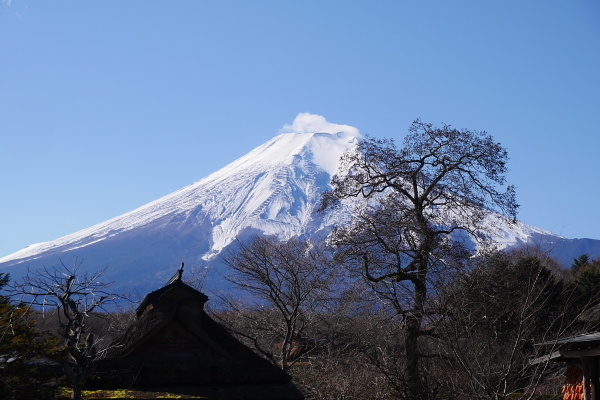 サリコニ　お誕生日旅行2日目_b0183917_19535828.jpg