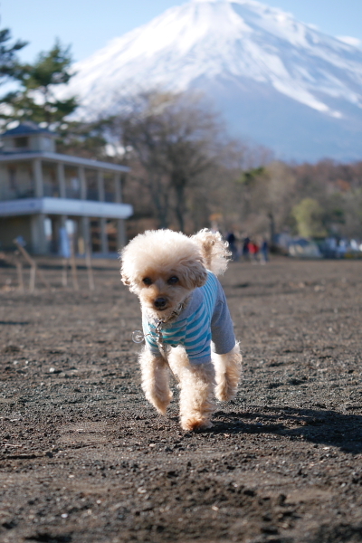 サリコニ　お誕生日旅行2日目_b0183917_19595659.jpg