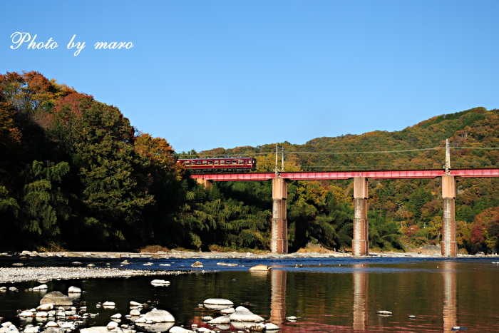 紅葉の荒川橋梁を渡る 秩父鉄道･SLパレオエクスプレス♪♪_e0160417_0512656.jpg