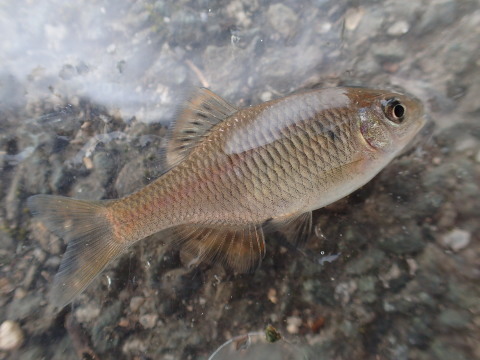 a0315918_19034468.jpg
