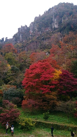 紅葉の九重\"夢\"大吊橋＆深耶馬溪\"一目八景\"_f0220919_2029557.jpg