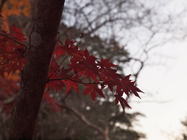 a0188023_634277.jpg