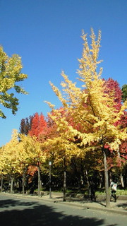 b0170623_934629.jpg