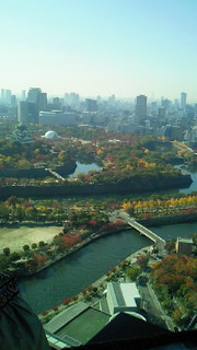 b0170623_934638.jpg