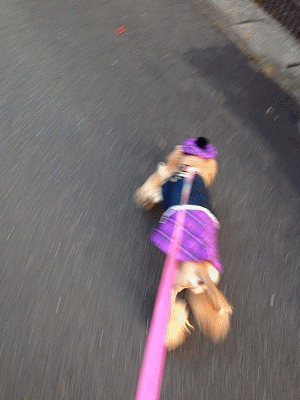 f0326925_23104623.gif