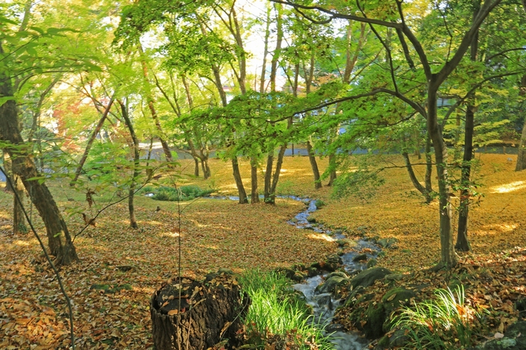 c0104227_06625.jpg