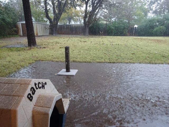 a0042932_5231569.jpg