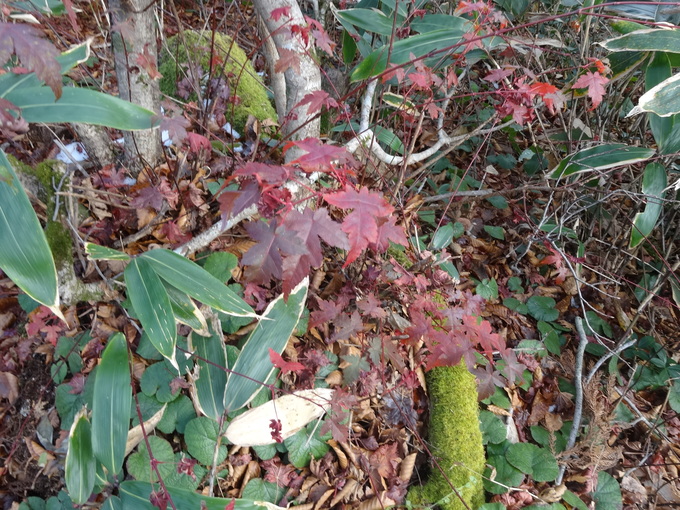 e0110940_1023420.jpg