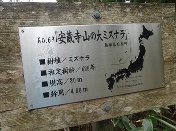 e0110940_2321195.jpg