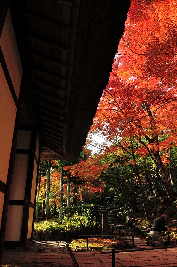 嵯峨嵐山紅葉２０１４－１_d0148541_2114452.jpg