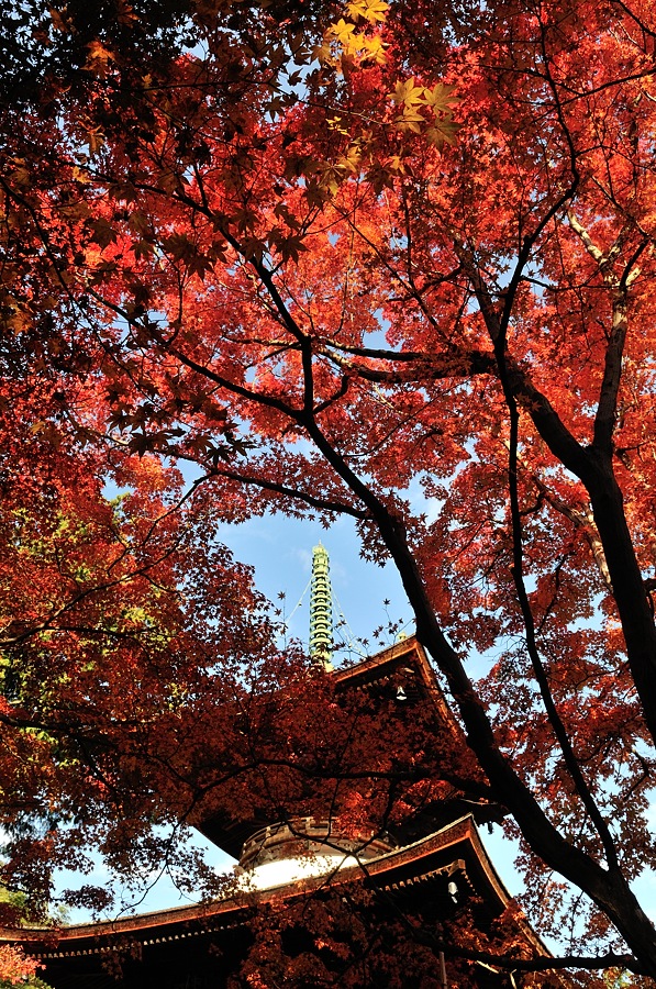 嵯峨嵐山紅葉２０１４－１_d0148541_21185127.jpg