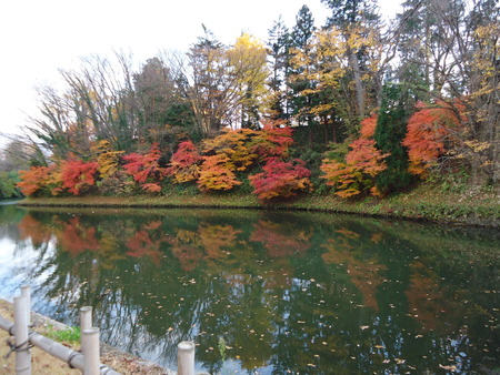 a0099446_17461060.jpg