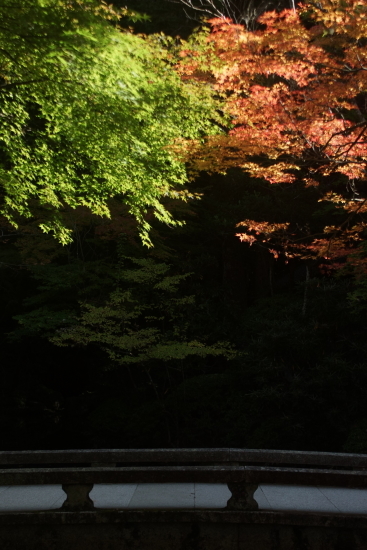 京都・紅葉・法然院_c0303246_08485809.jpg