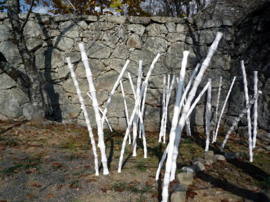 c0147952_2022832.jpg