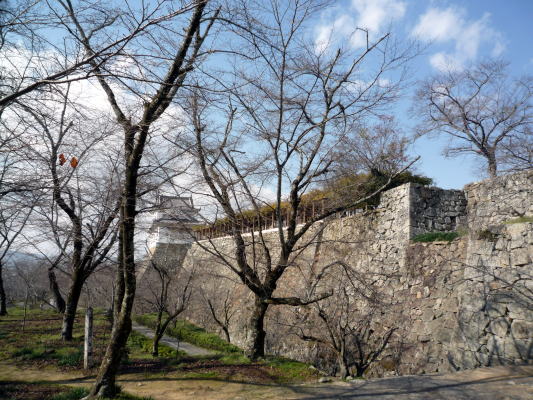 c0147952_20284918.jpg