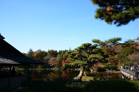 昭和記念公園へ　③_d0173654_16147.jpg