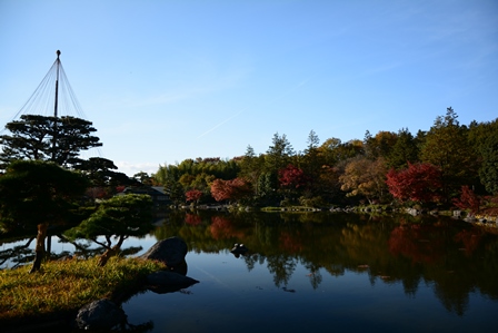 昭和記念公園へ　④_d0173654_16164398.jpg