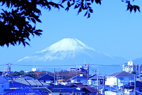 a0248459_20000514.jpg