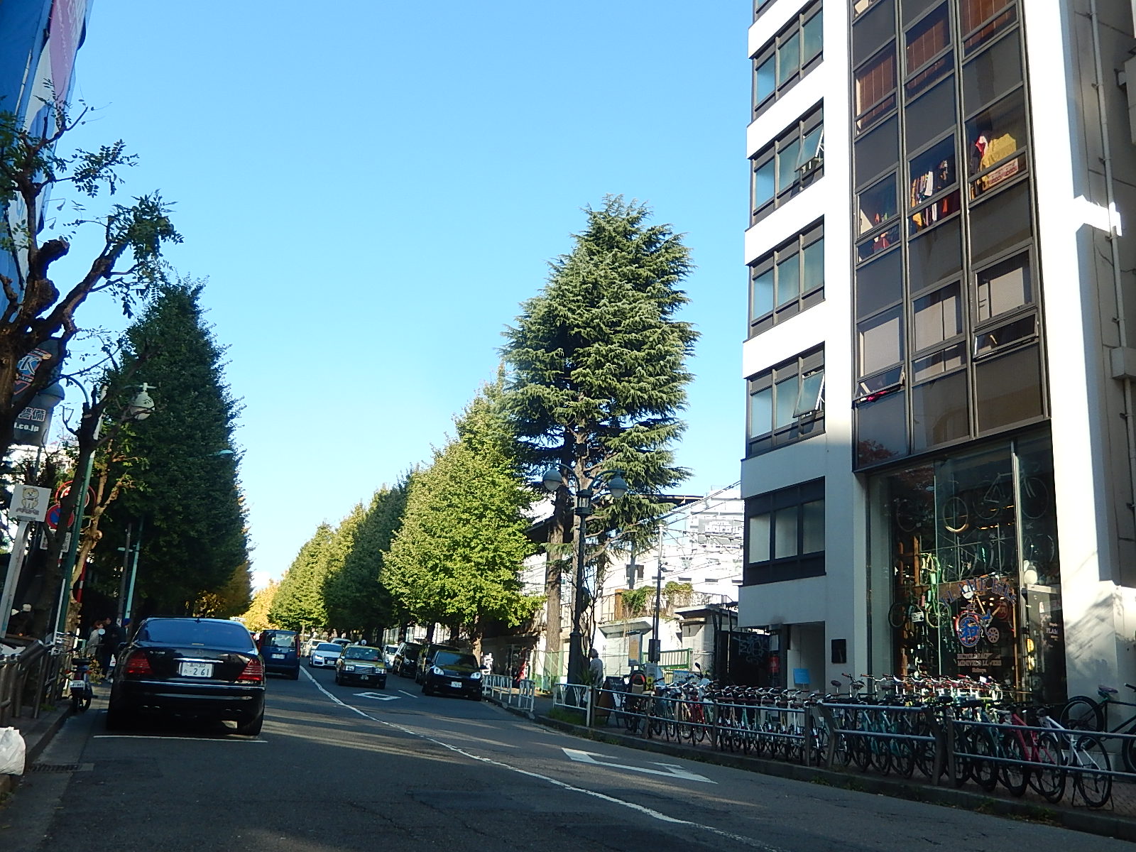 11月23日　渋谷　原宿　の自転車屋　FLAME bike前です_e0188759_1553366.jpg