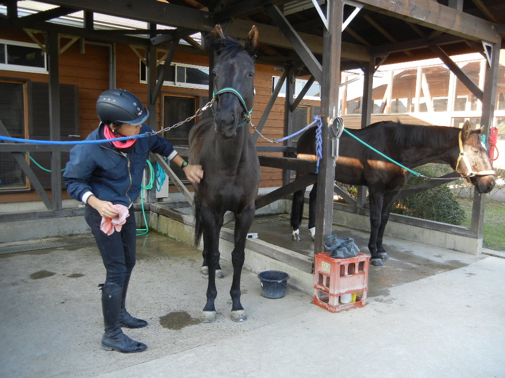 ’14,11,23(日)ケーキバイキングと馬と猫!_f0060461_1725095.jpg