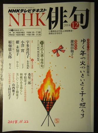 ’14,11,23(日)ケーキバイキングと馬と猫!_f0060461_174533.jpg