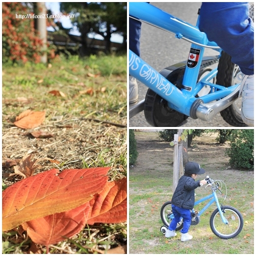 ・The first bicycle。_d0245268_23373014.jpg