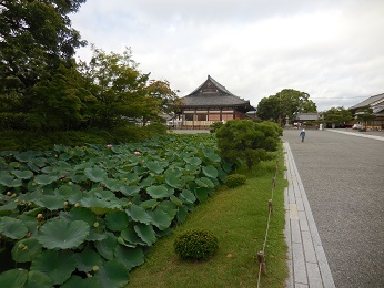 旅日記のその12_e0033570_08091692.jpg