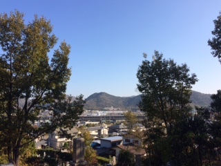 d0165772_20433991.jpg