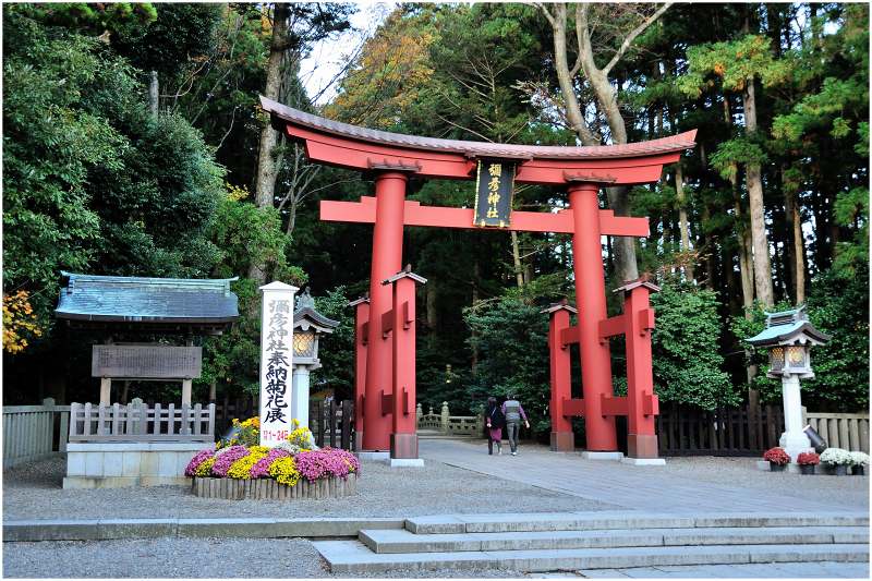 弥彦神社_a0079473_8554751.jpg