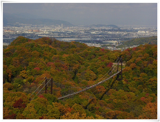 交野 星のブランコ_c0005973_18565745.jpg