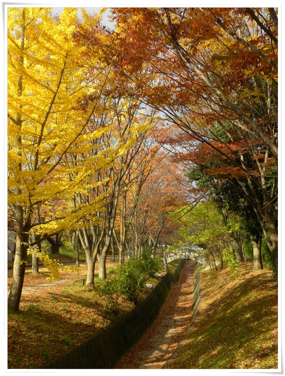 交野 星のブランコ_c0005973_18572378.jpg
