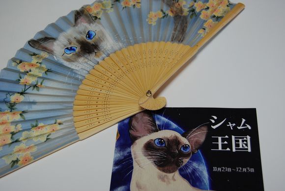 高円寺で猫まみれ_e0007273_1372498.jpg