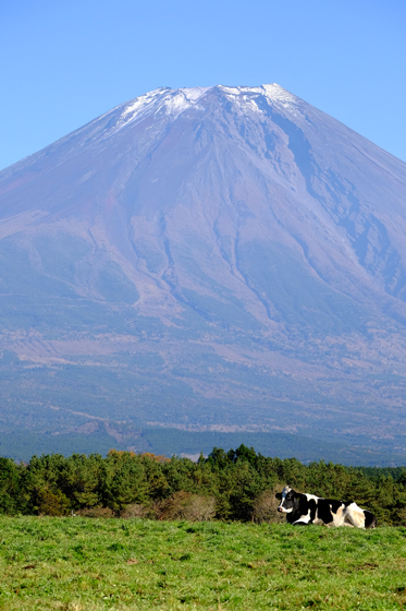 11/19　富士山麓滝めぐり-5_c0169275_21154375.jpg