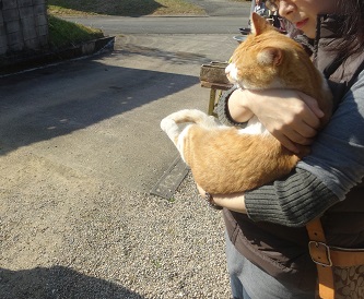 工房展と猫と犬_d0195183_19394114.jpg